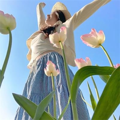 再见橄榄树