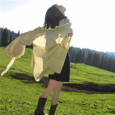 艾莉塔:战斗天使